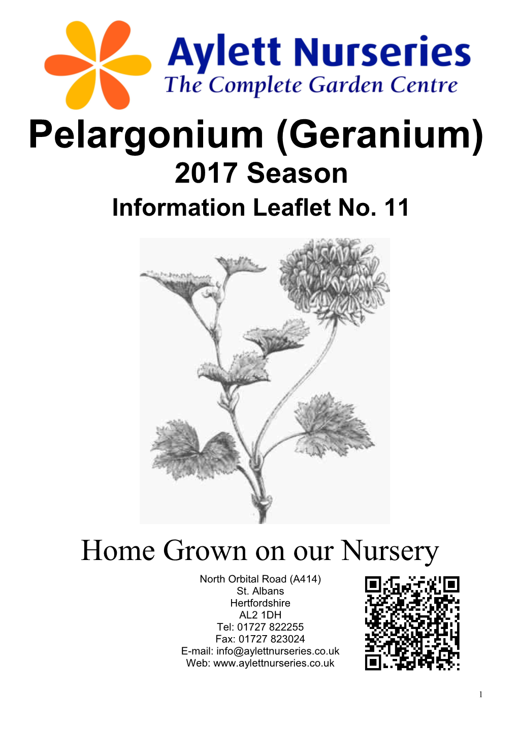 Pelargoniums Are Commonly Known As Geraniums but Should Not Be Confused with Plants Of