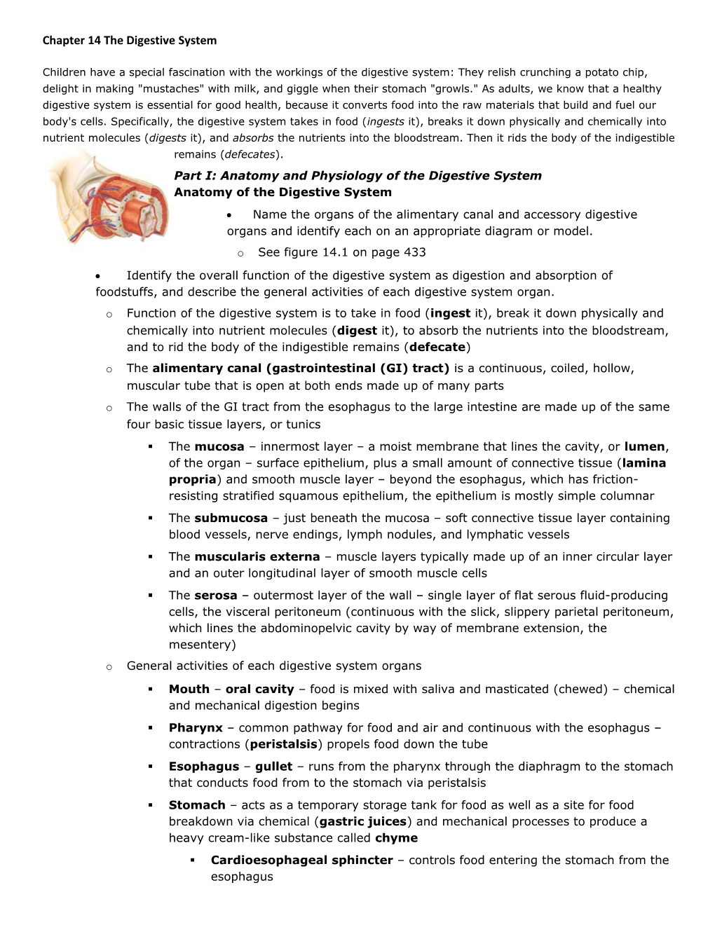 Chapter 14 the Digestive System