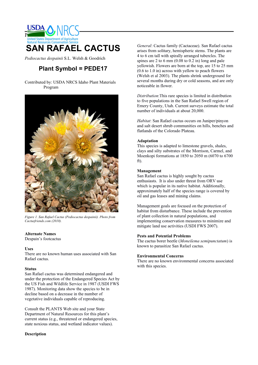 Plant Guide for San Rafael Cactus