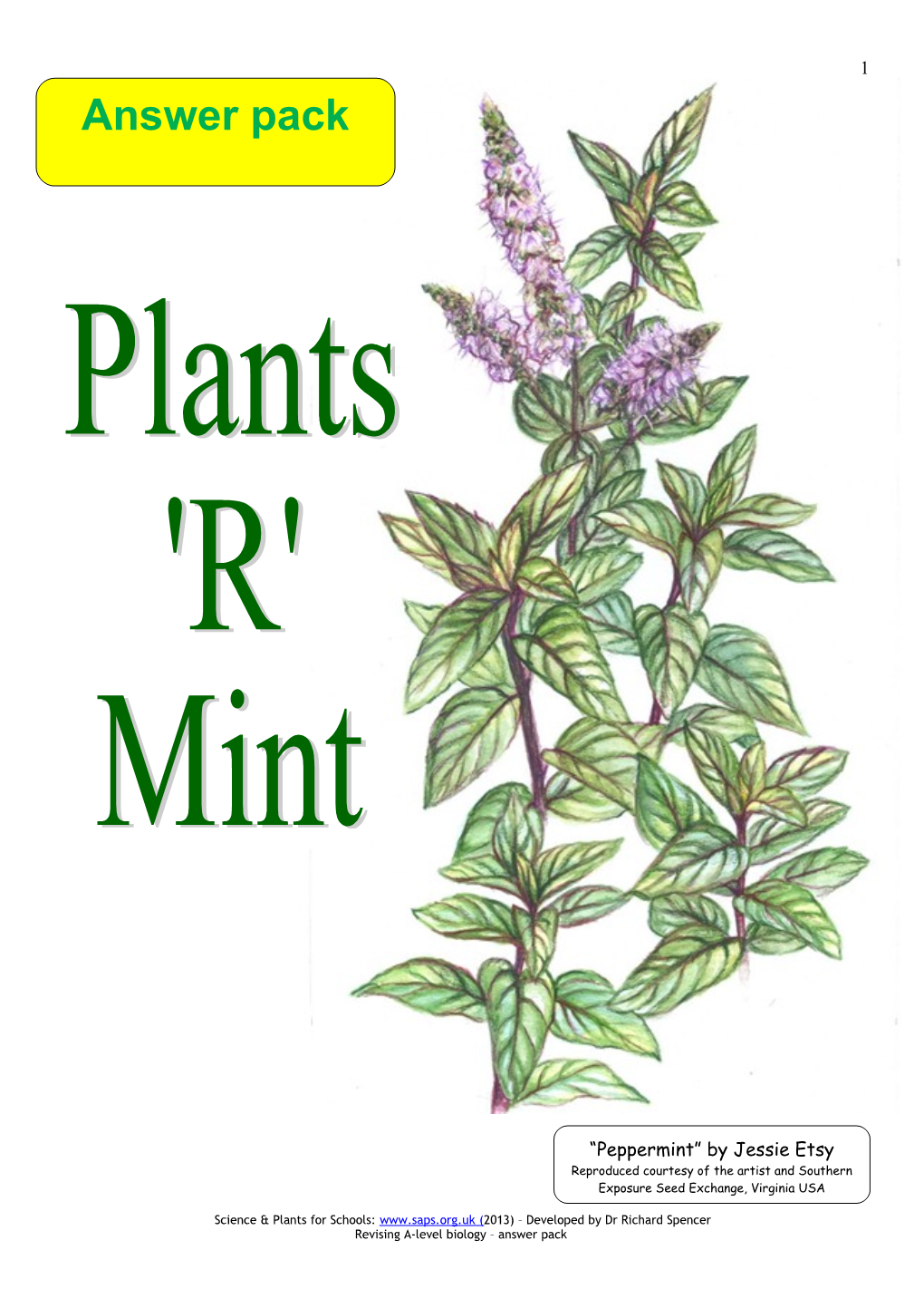 Plants R Mint SAPS 2013 MS