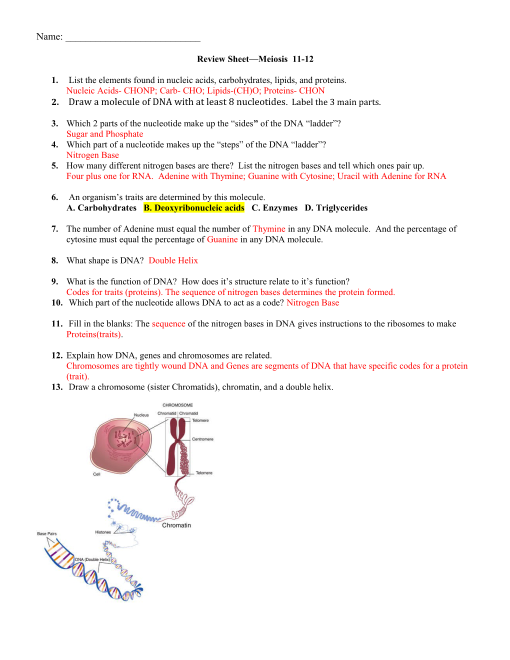 Review Sheet Cell Division