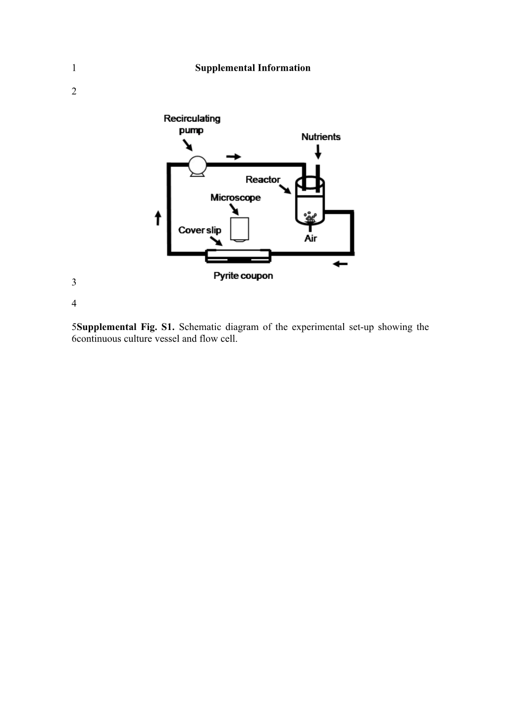 Supplemental Information s14