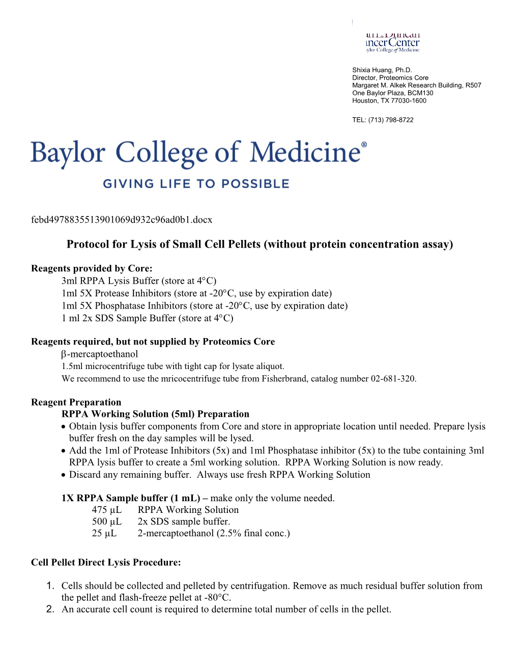 Protocol for Lysis of Small Cell Pellets (Without Protein Concentration Assay)