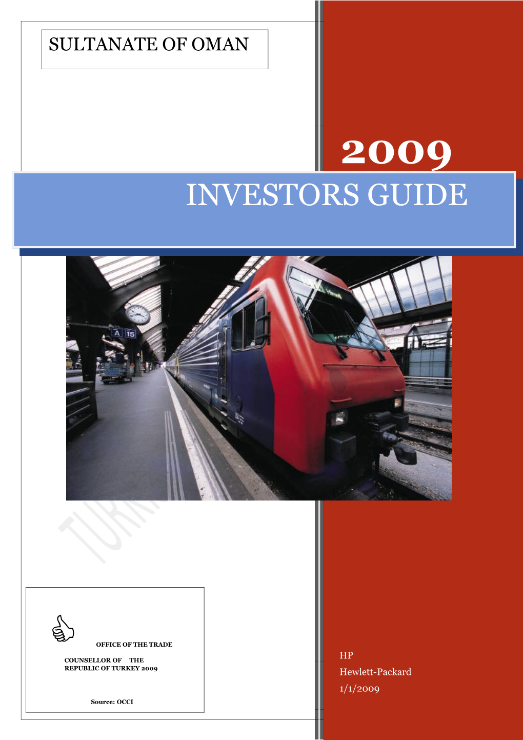 Investor S Guide