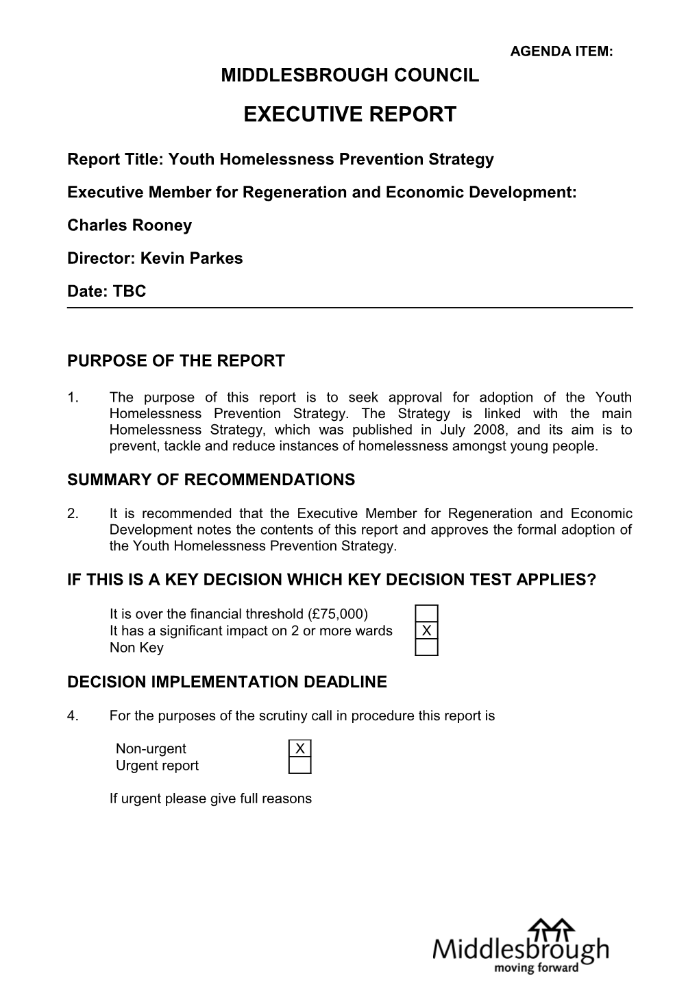 Report Title: Youth Homelessness Prevention Strategy