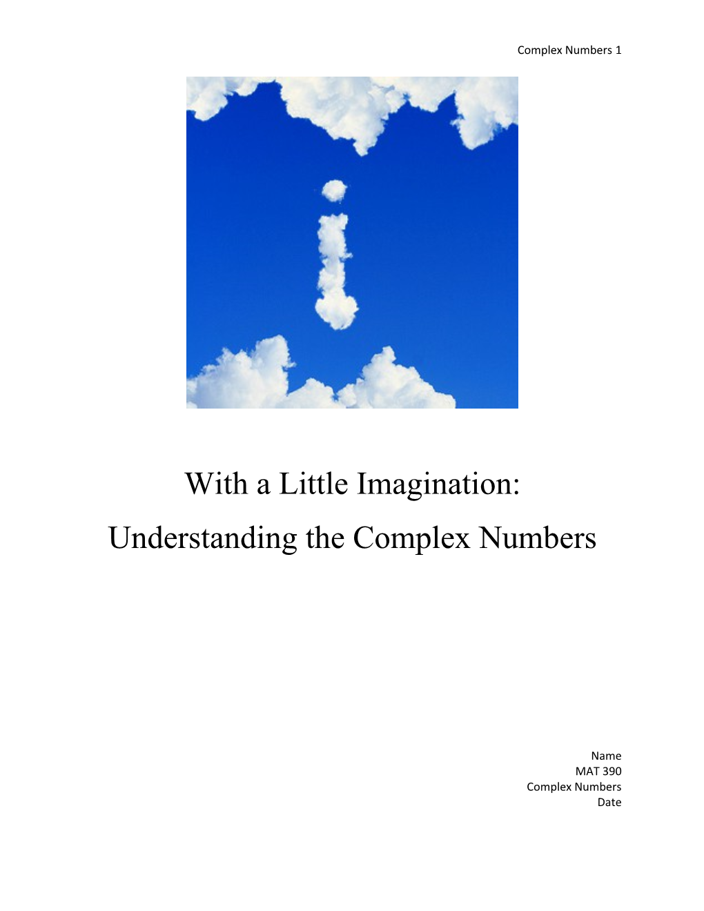 Understanding the Complex Numbers