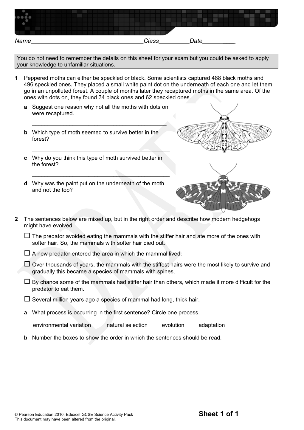 B Which Type of Moth Seemed to Survive Better in the Forest?