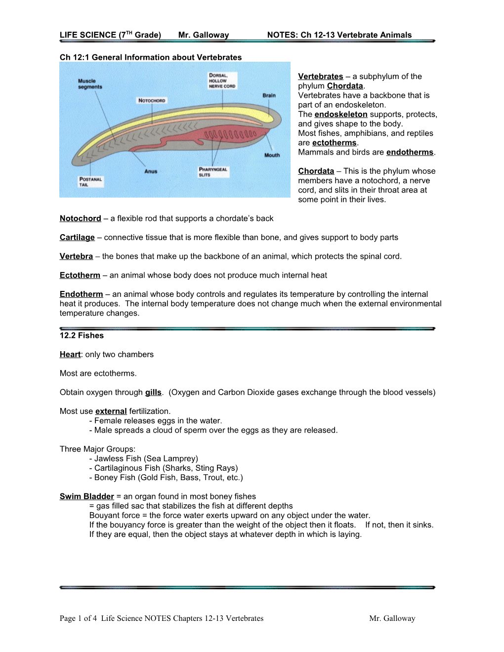 LIFE SCIENCE (7TH Grade) Mr. Gallowaynotes: Ch 12-13 Vertebrate Animals