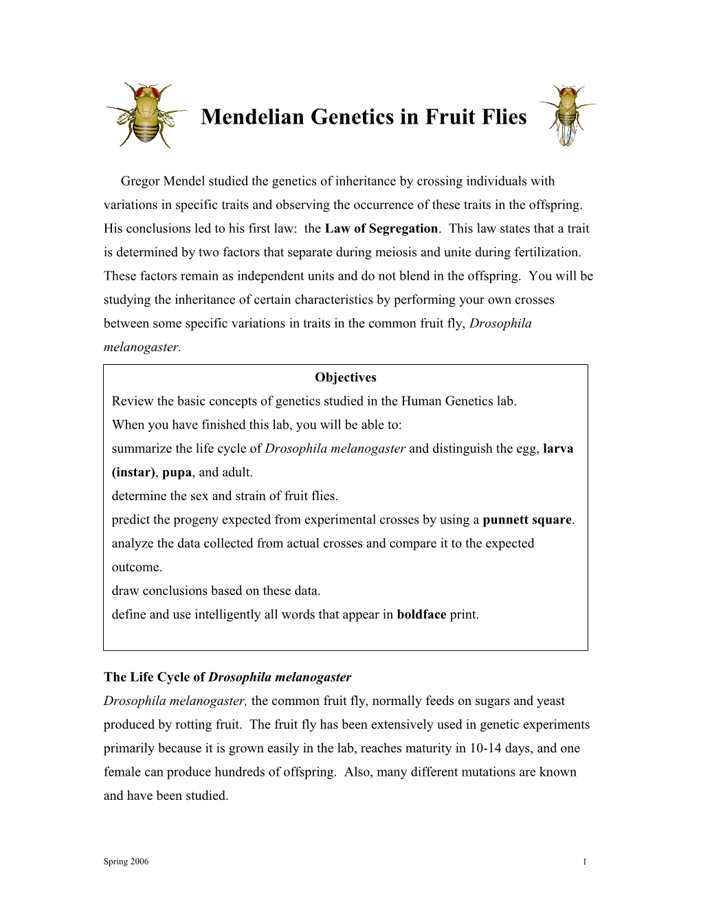 Mendelian Genetics in Fruit Flies