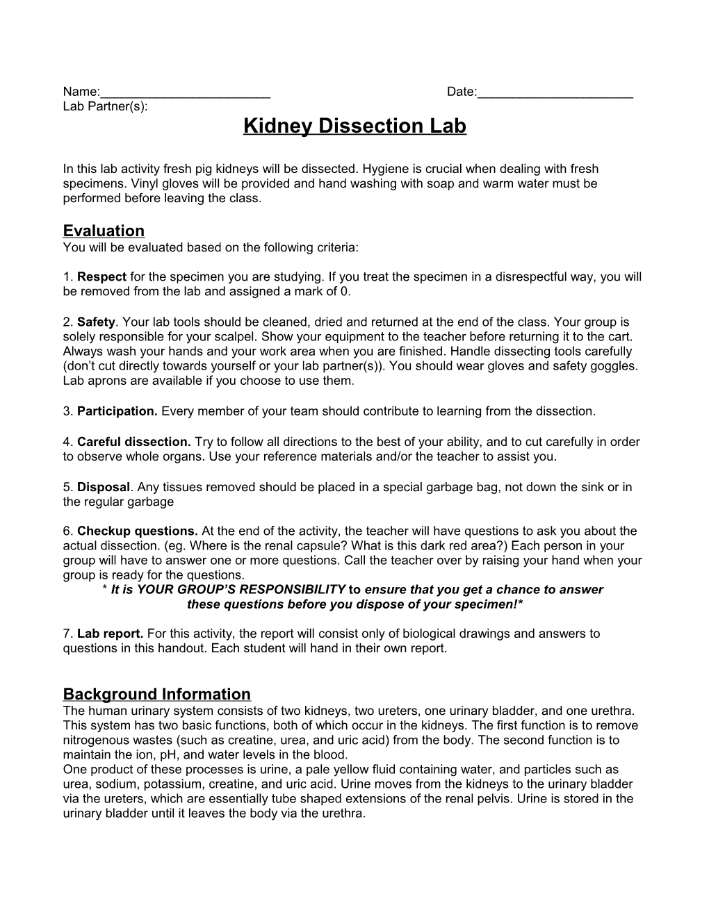 Kidney Dissection Lab