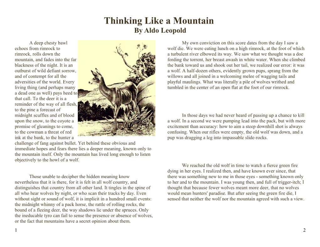 Thinking Like a Mountain