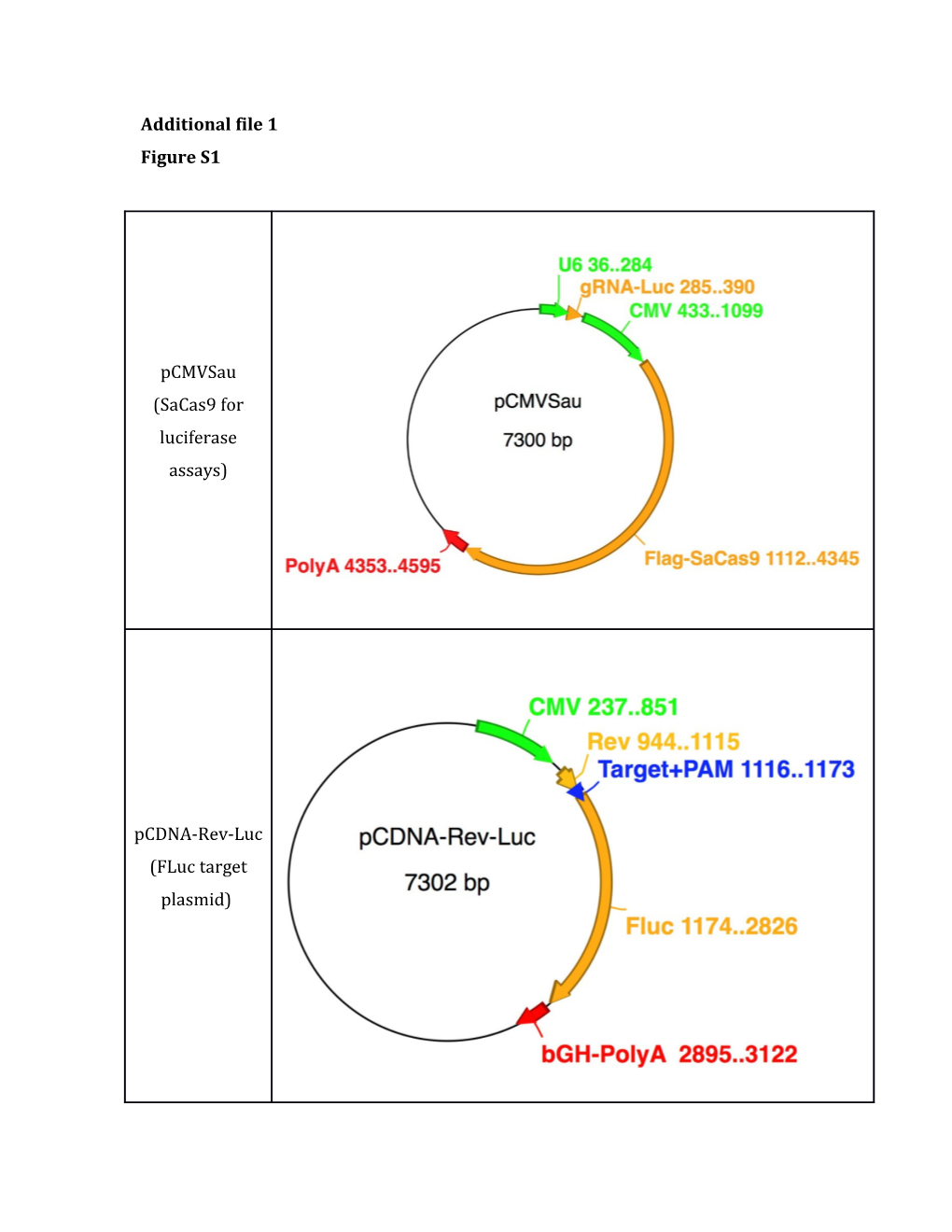 Figure S1: Maps of Some of the Cas9 and AAV Plasmids Used to Generate Data Shown