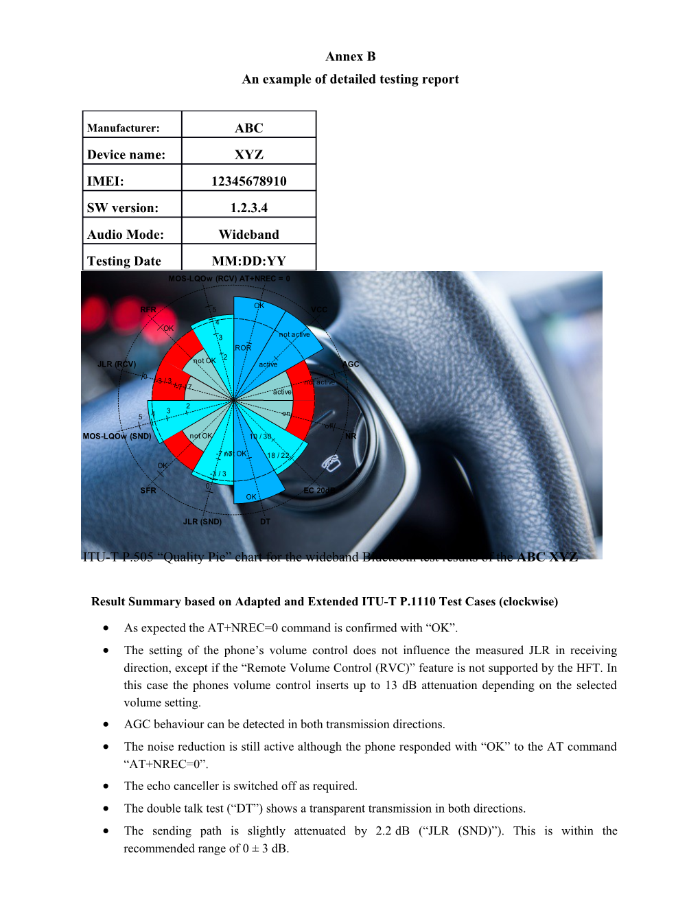 An Example of Detailed Testing Report s1