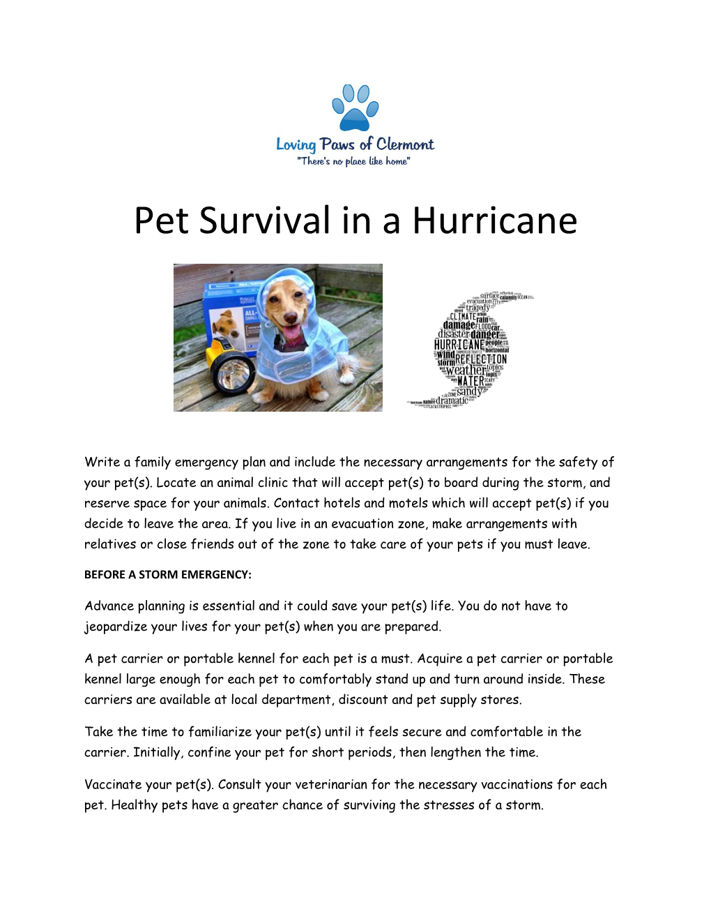 Pet Survival in a Hurricane