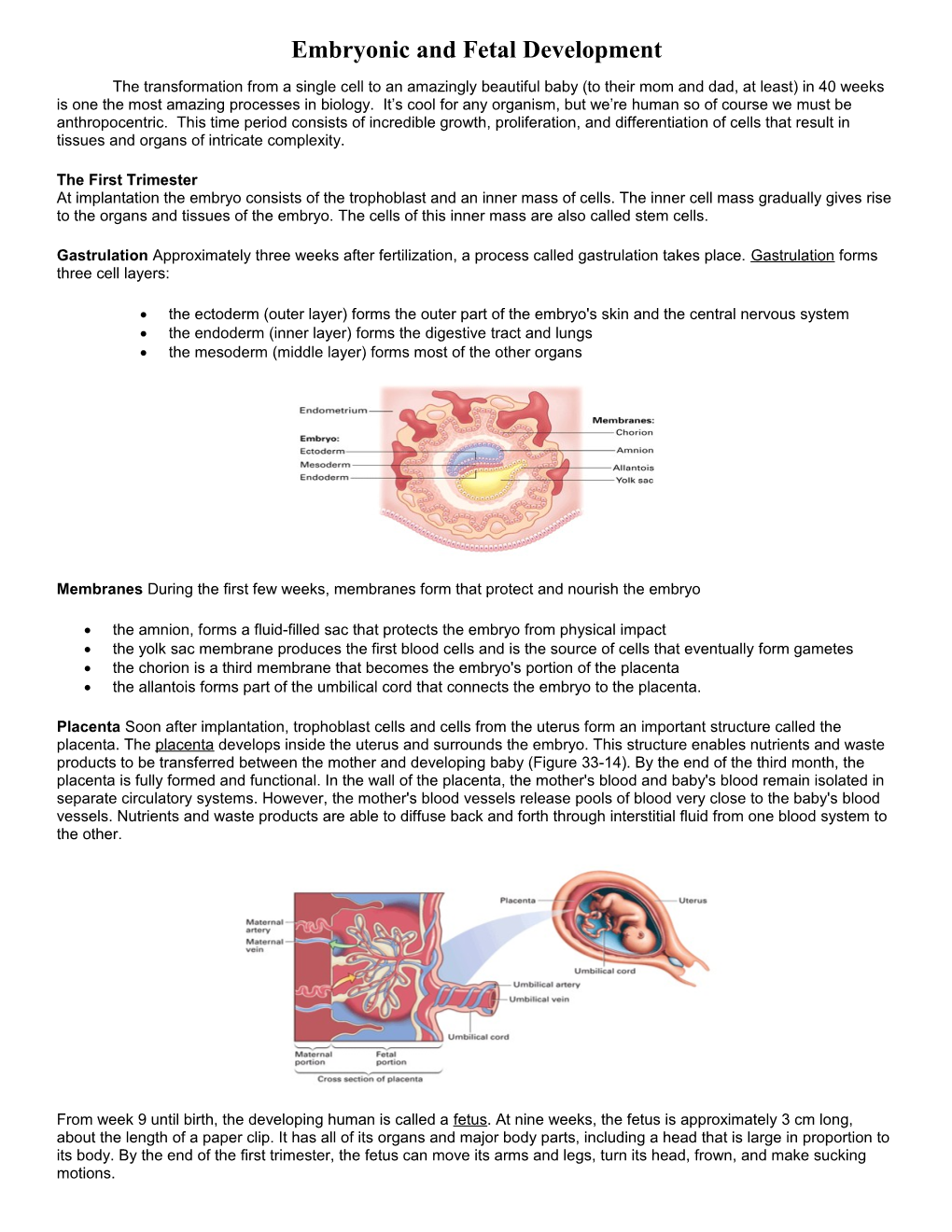 Embryonic and Fetal Development