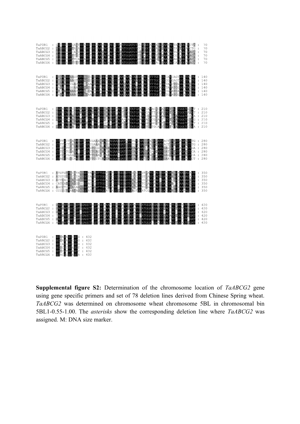 Supplemental Table S1: Accession Numbers of 55 Protein Sequences Used for the Phylogenetic
