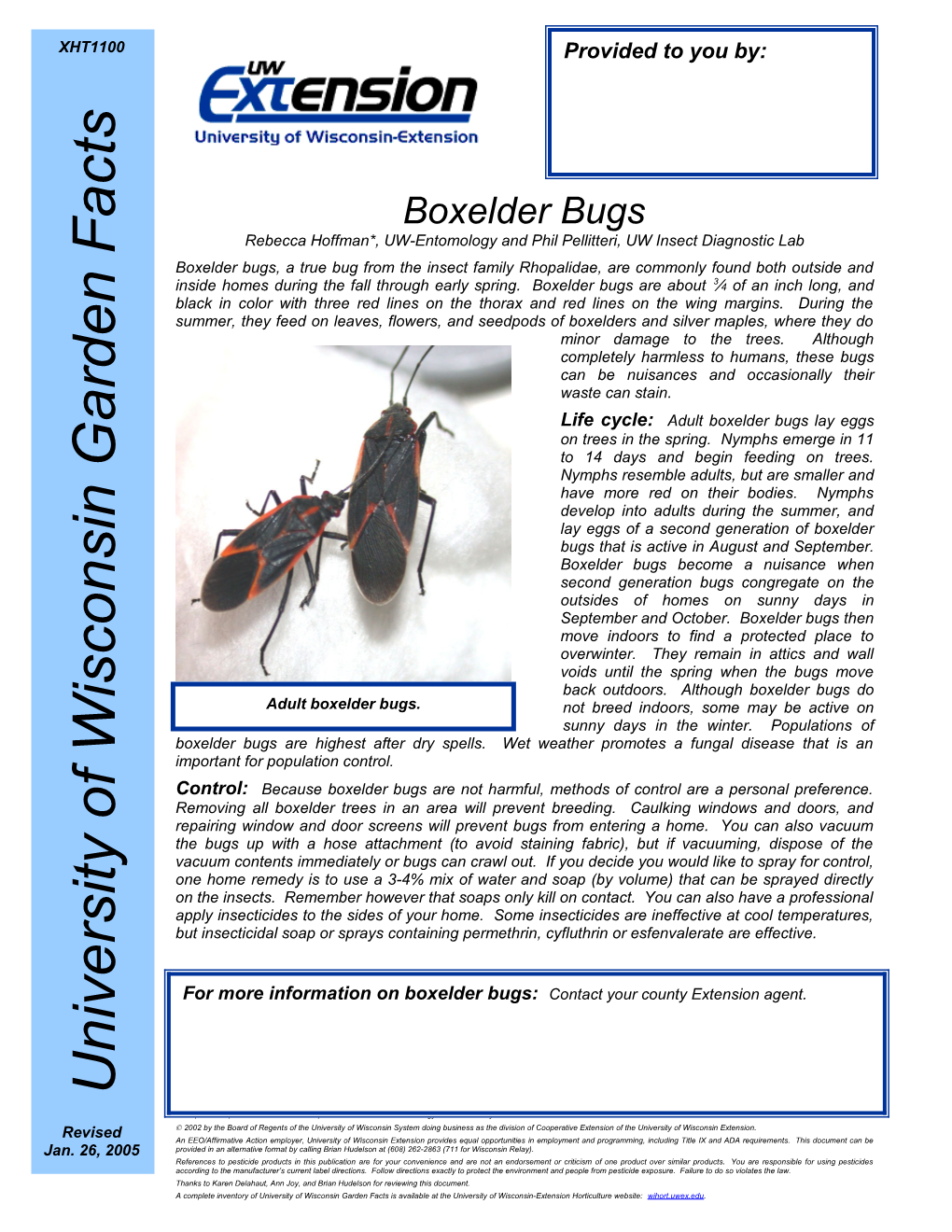 Rebecca Hoffman*, UW-Entomology and Phil Pellitteri, UW Insect Diagnostic Lab