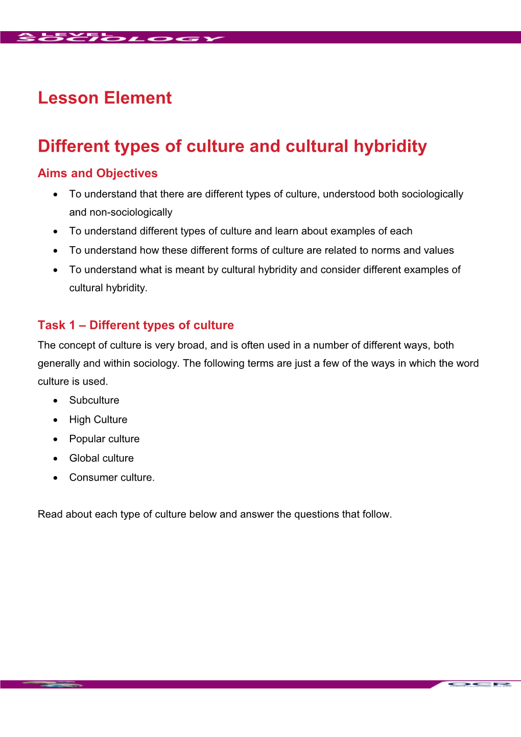 A Level Sociology Lesson Element Learner Activity (Different Types Of Culture And Cultural Hybridity)