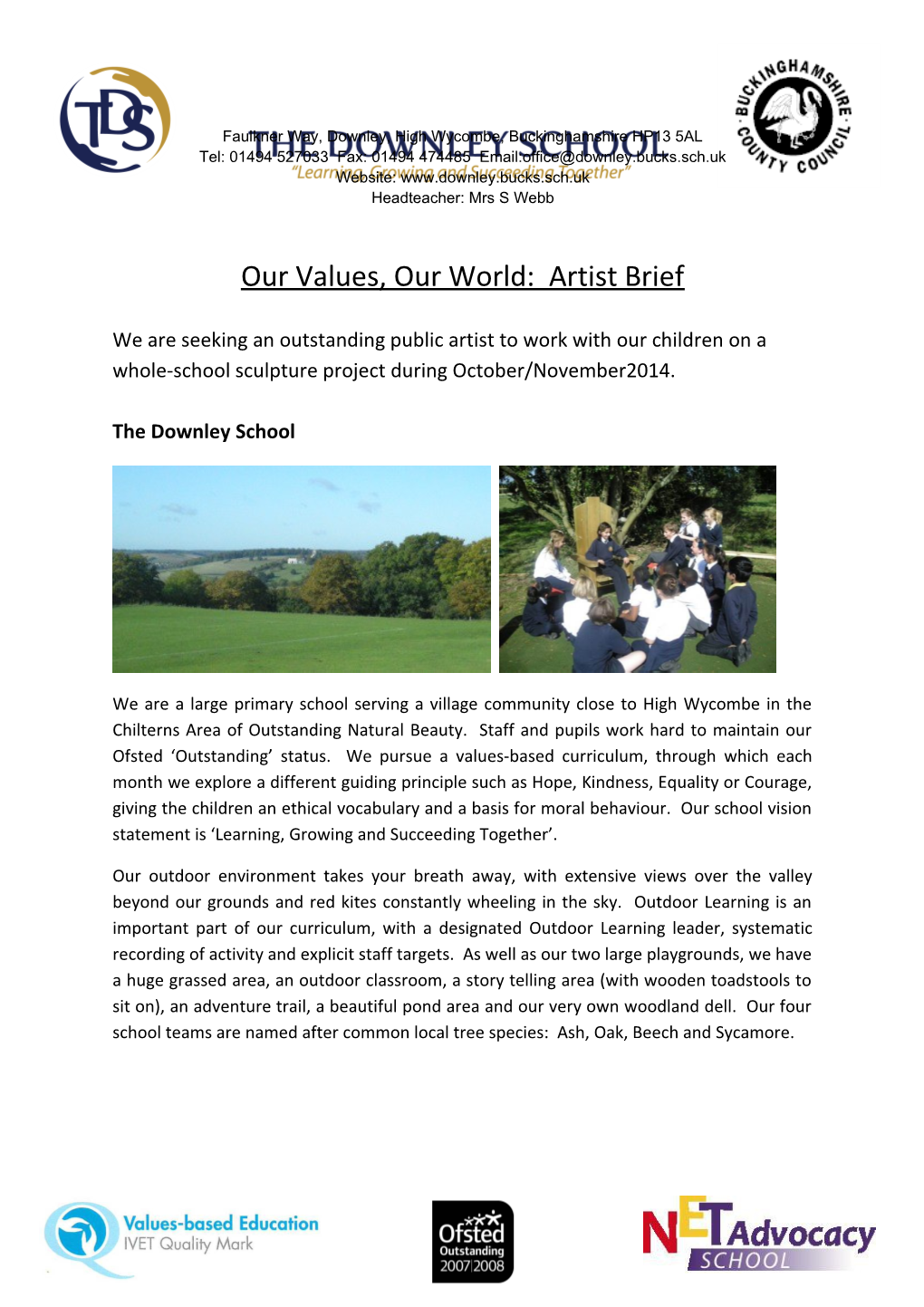 Our Values, Our World: Artist Brief