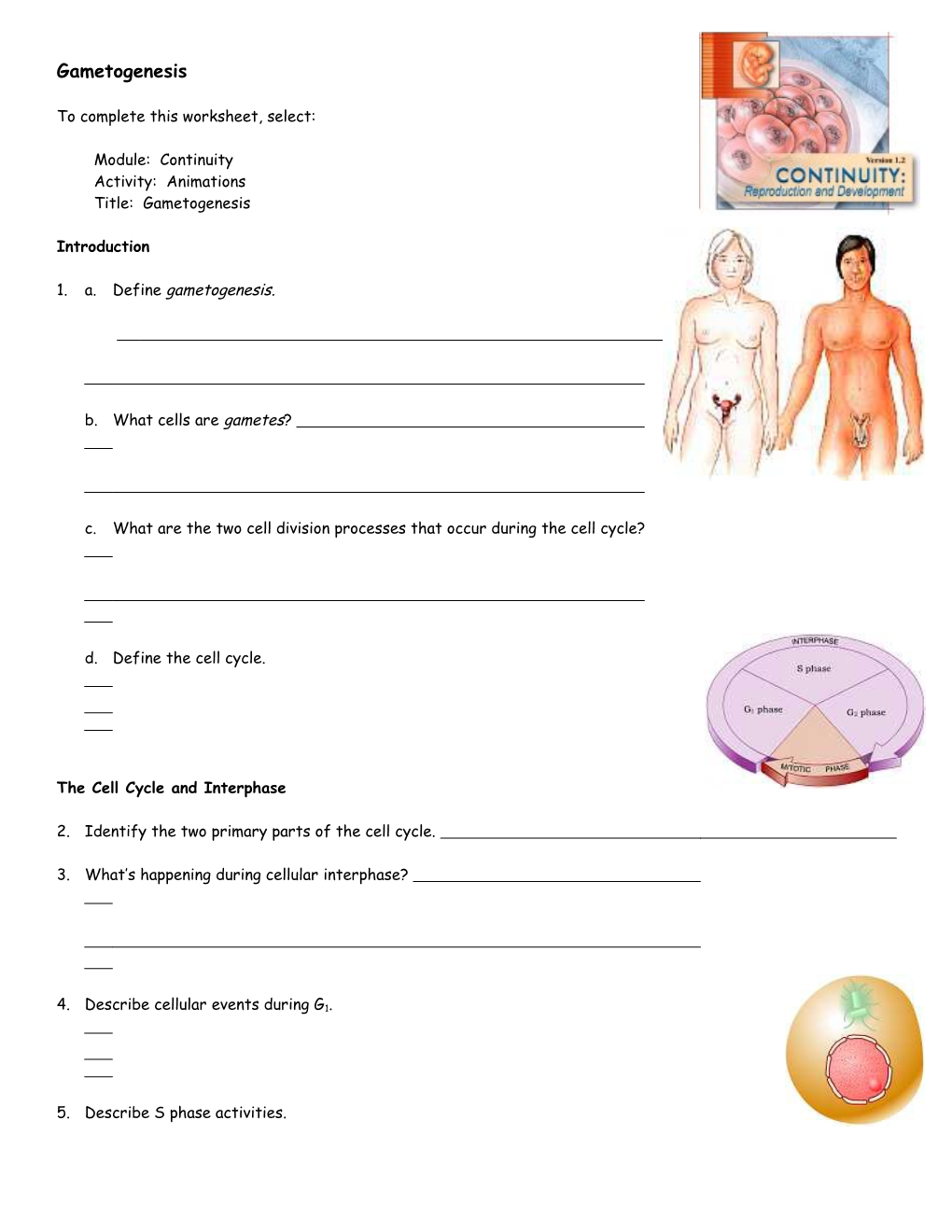 Endocrine System: Overview s8