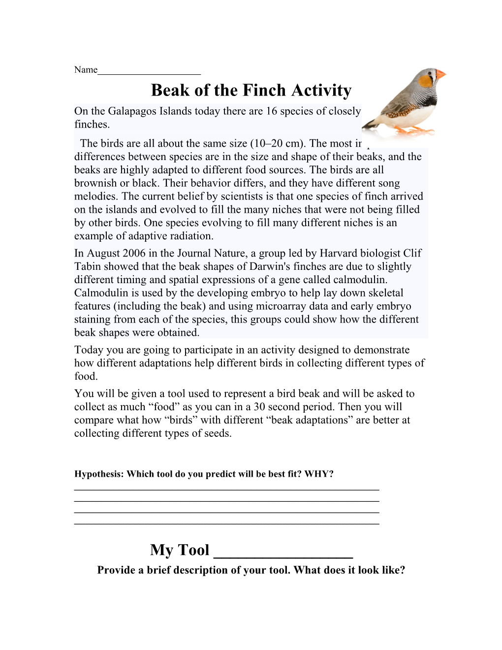 Beak of the Finch Activity