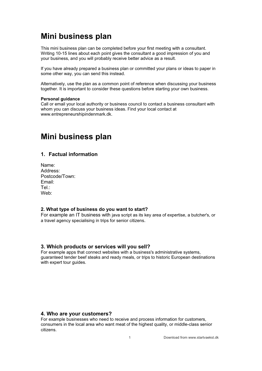 Mini Business Plan