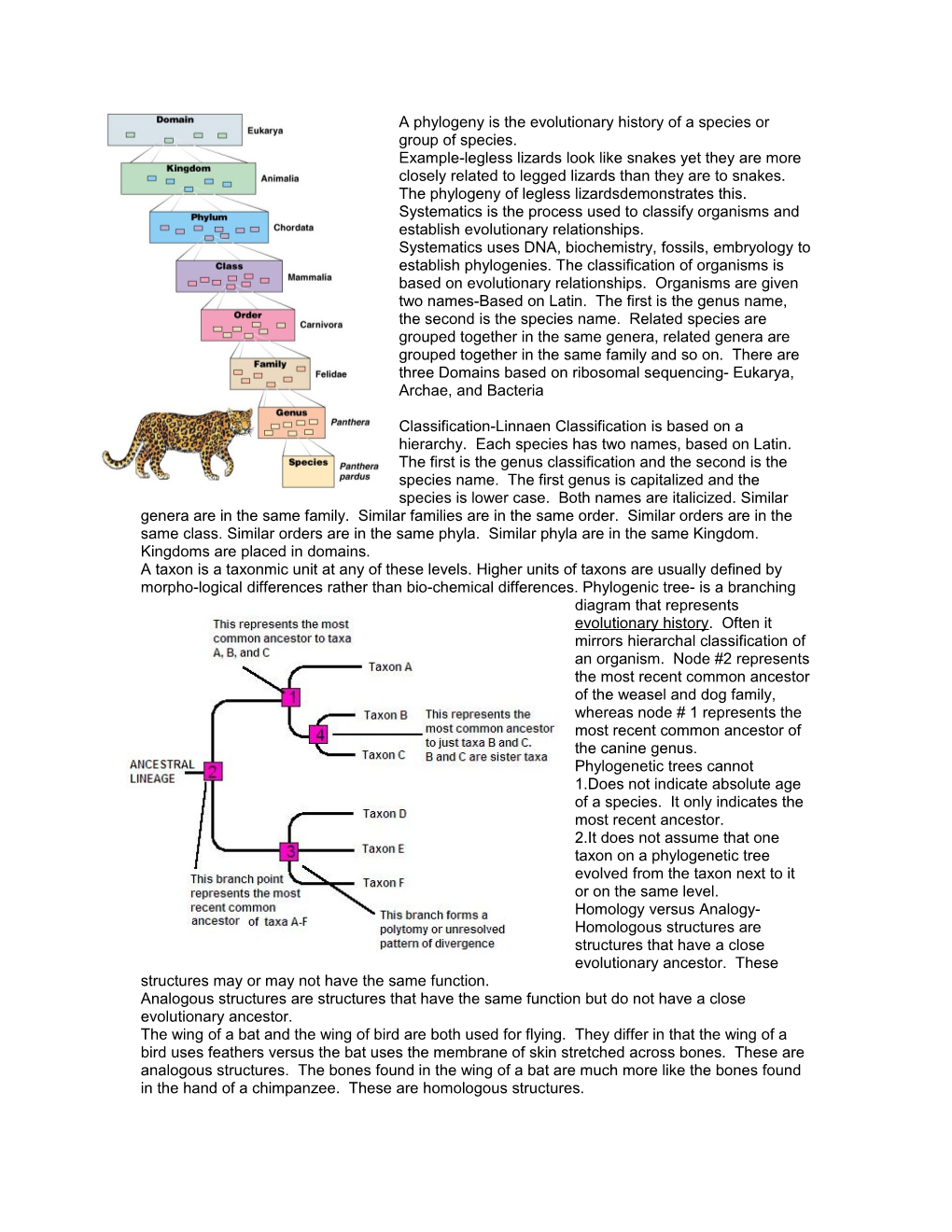 A Phylogeny Is the Evolutionary History of a Species Or Group of Species