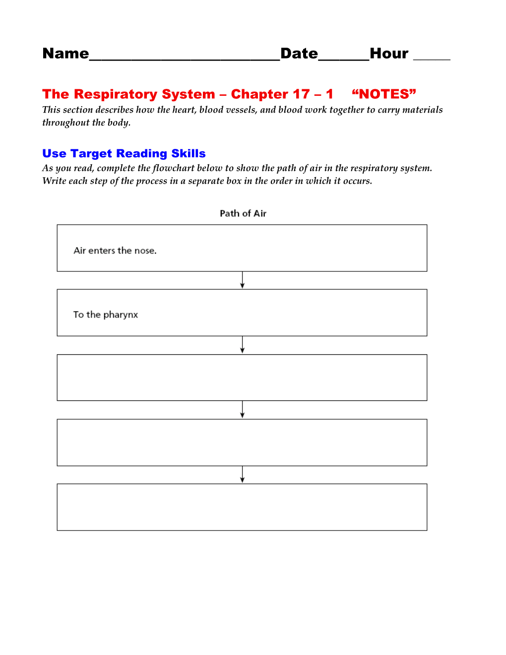 The Respiratory System Chapter 17 1 NOTES