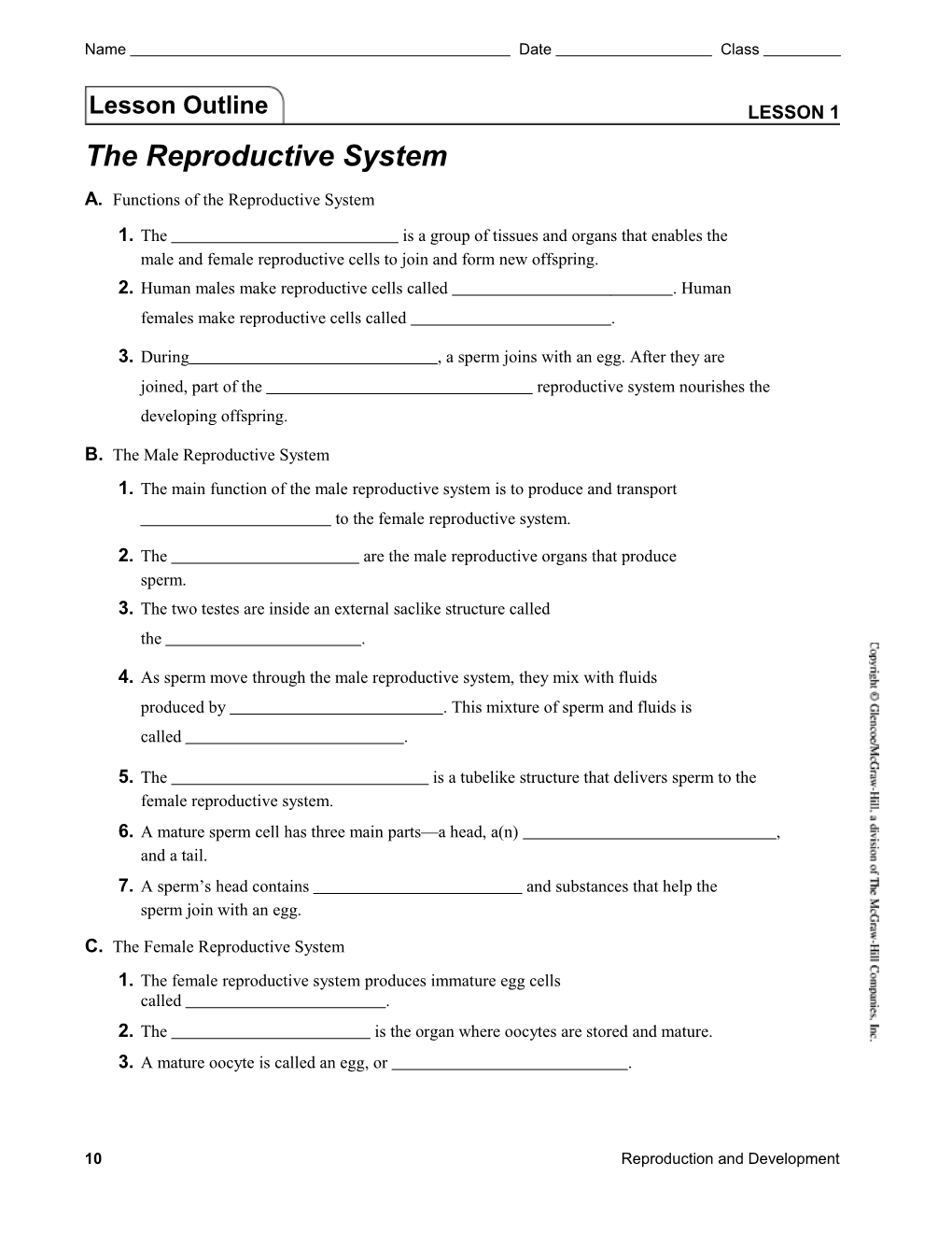 Lesson 1 the Reproductive System
