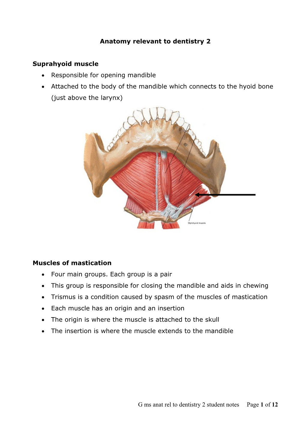 Anatomy Relevant to Dentistry 2