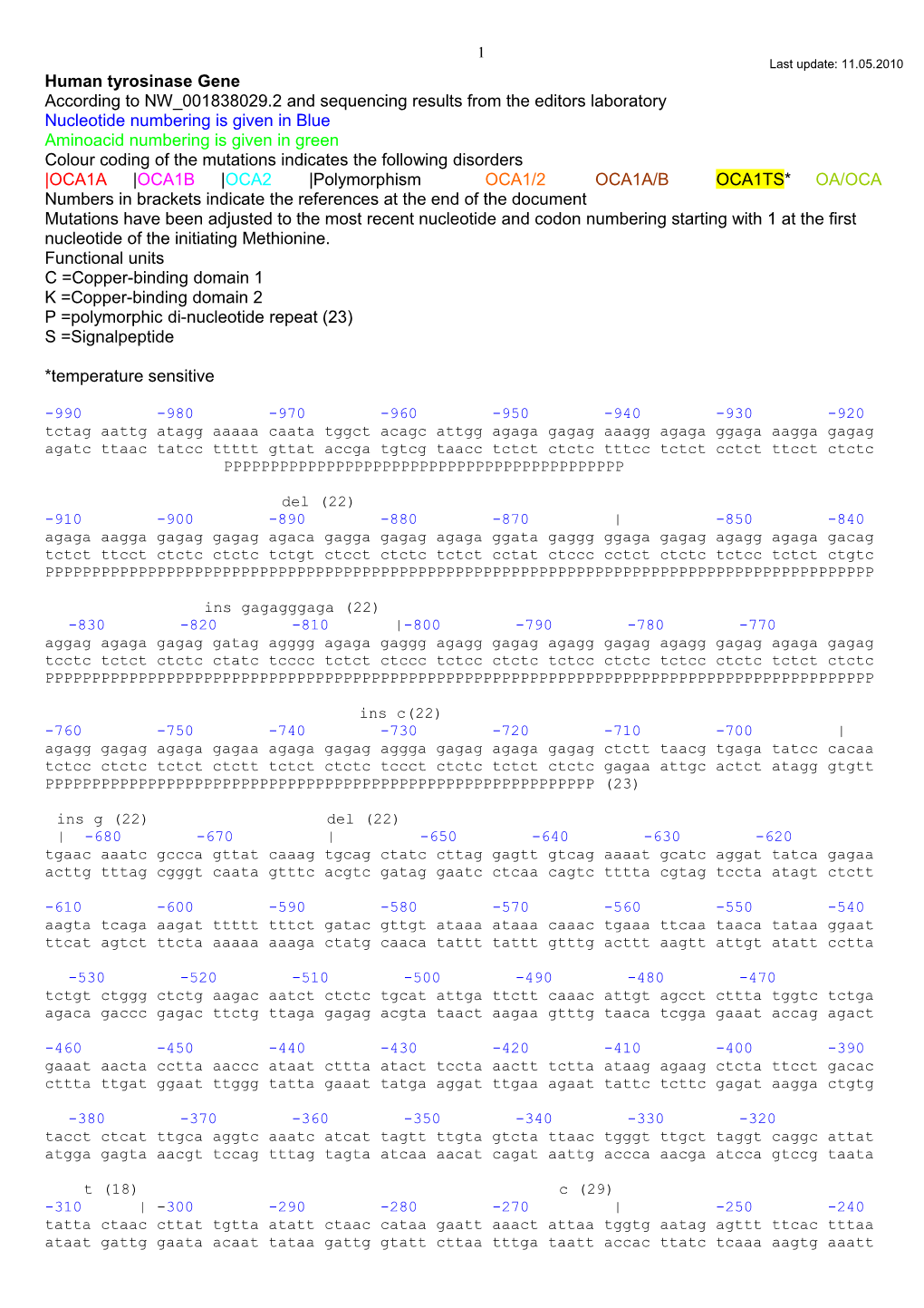 Human Tyrosinase Gene