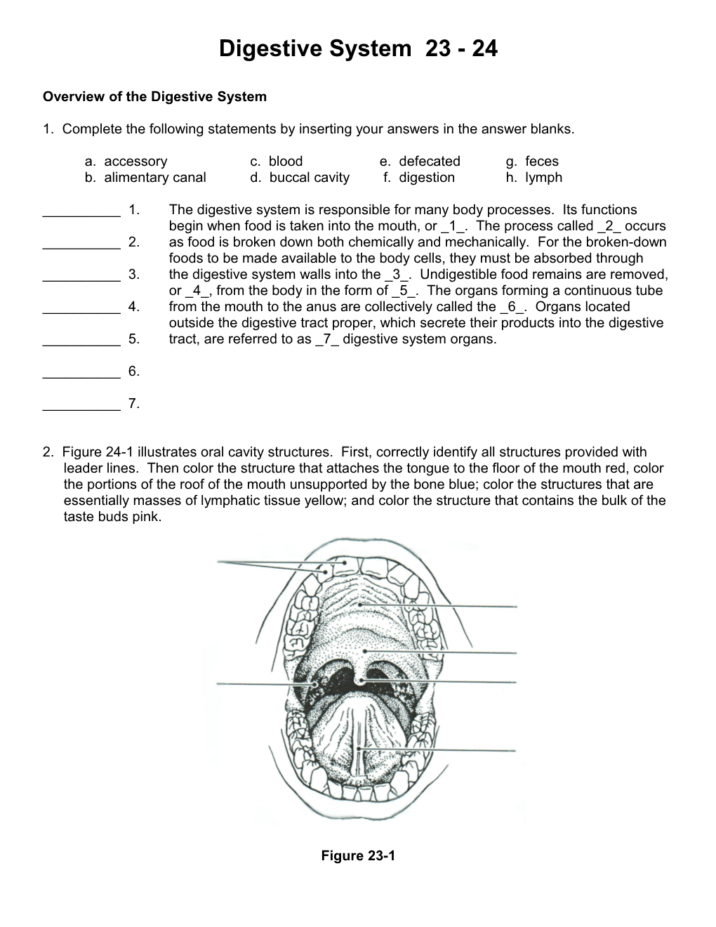 Overview of the Digestive System