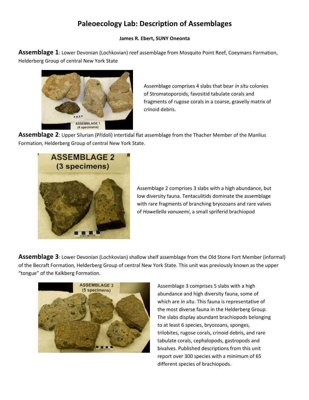 Paleoecology Lab: Description of Assemblages