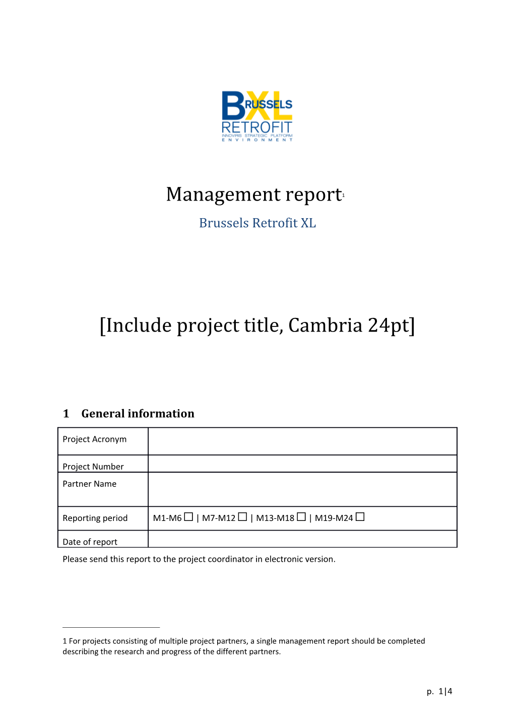 Management Report *