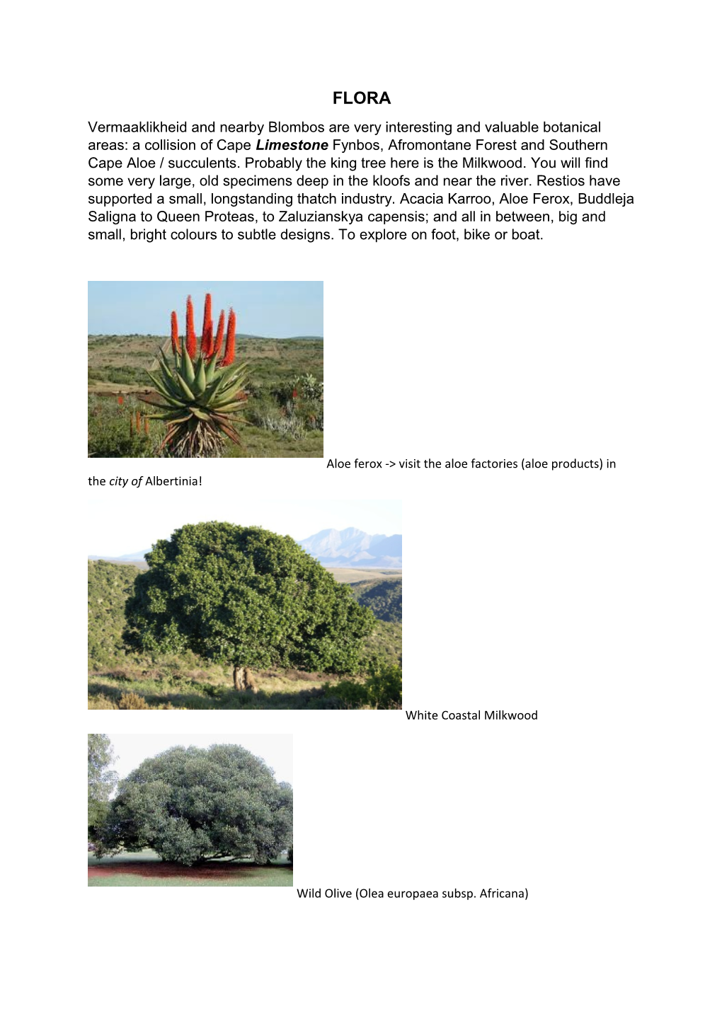 Vermaaklikheid and Nearby Blombos Are Very Interesting and Valuable Botanical Areas: Acollision